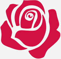 Abbingdon Knight large rose logo